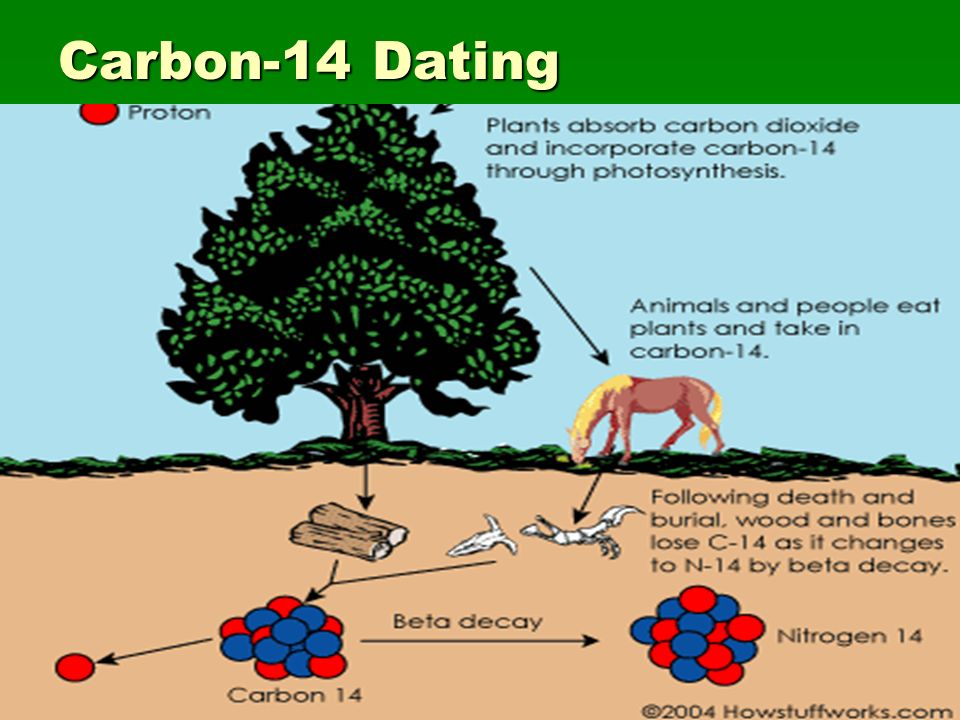 Carbon dating human fossils